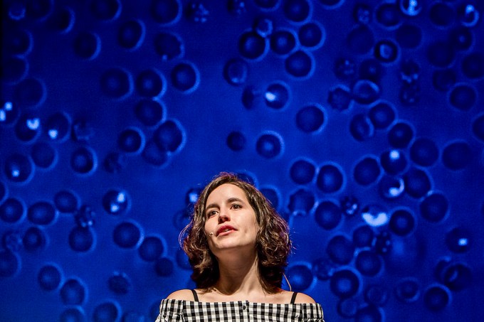 33500069341_6091e8750d_b